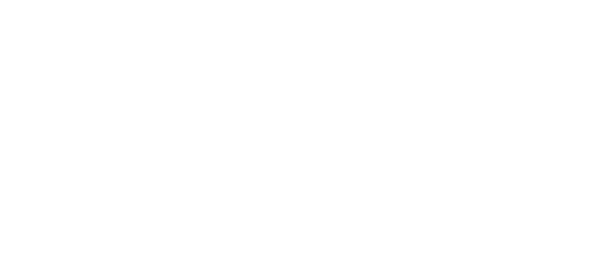 Anima-logos-White-horizontal-transpharent