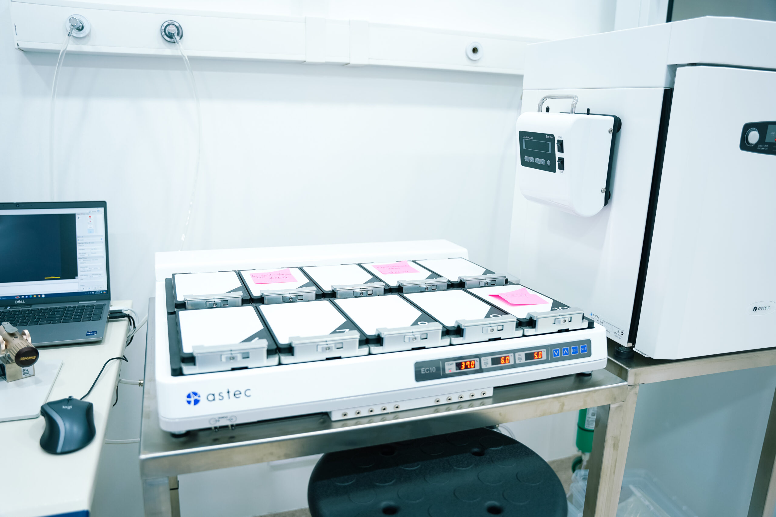 anima laboratory